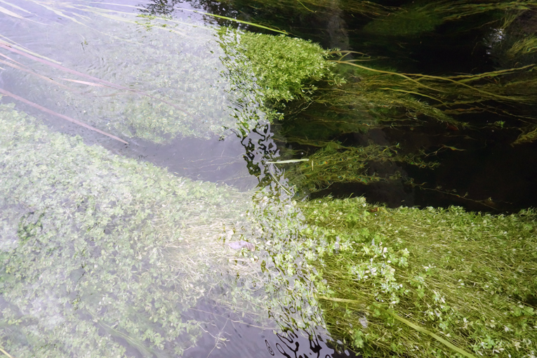 River Graffiti.jpg