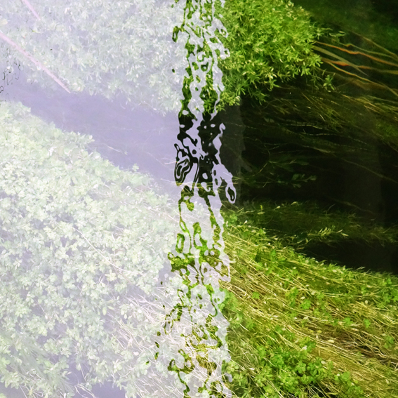Water graffiti 2.jpg