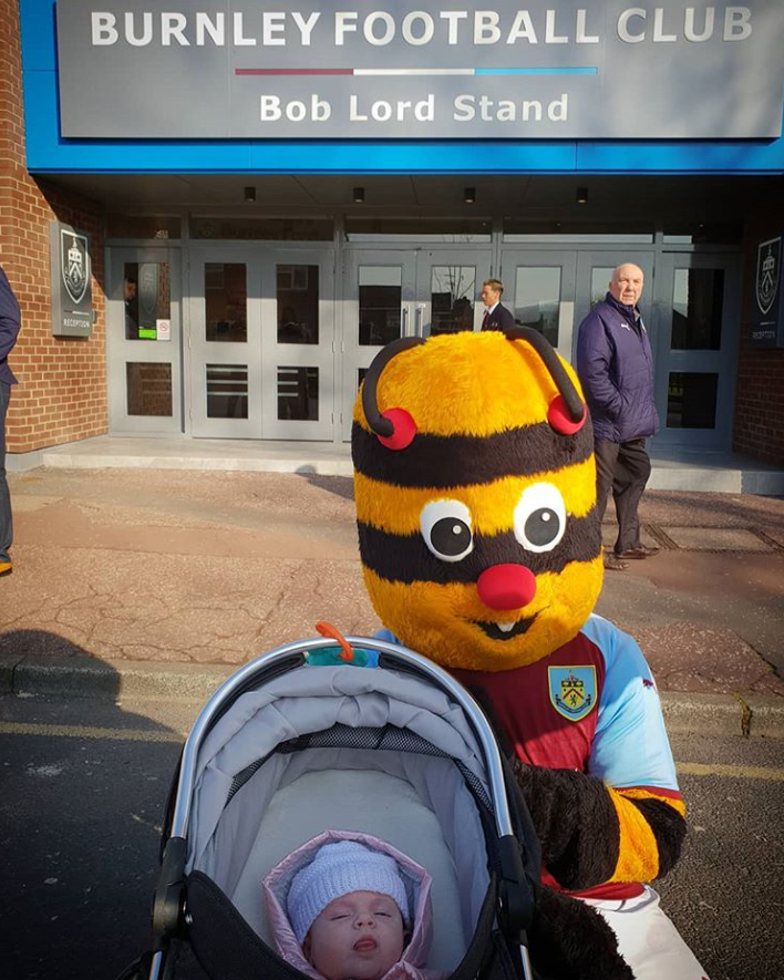 2019 02 Bertie Bee.PNG