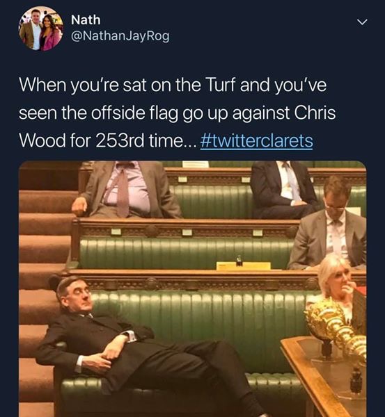 image.jpeg