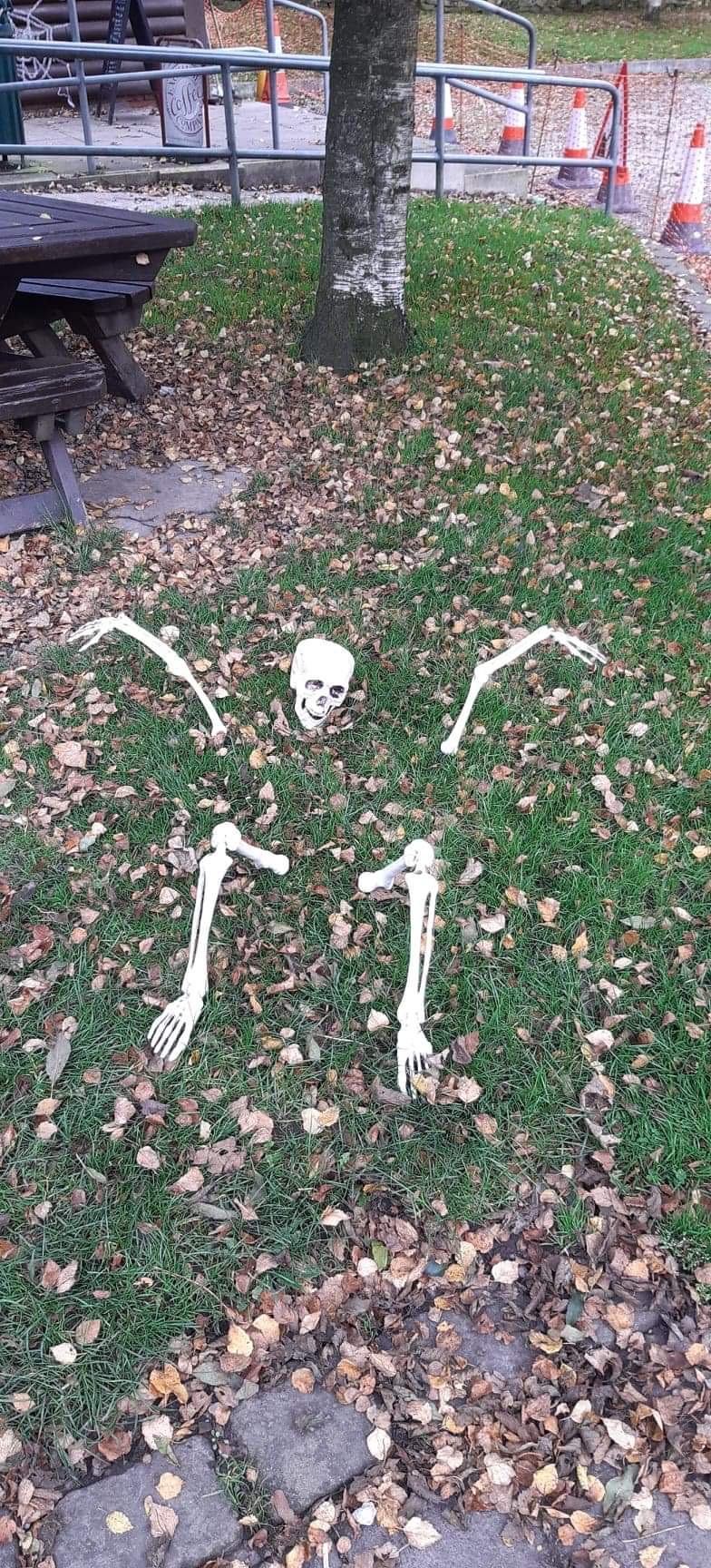 image.jpeg