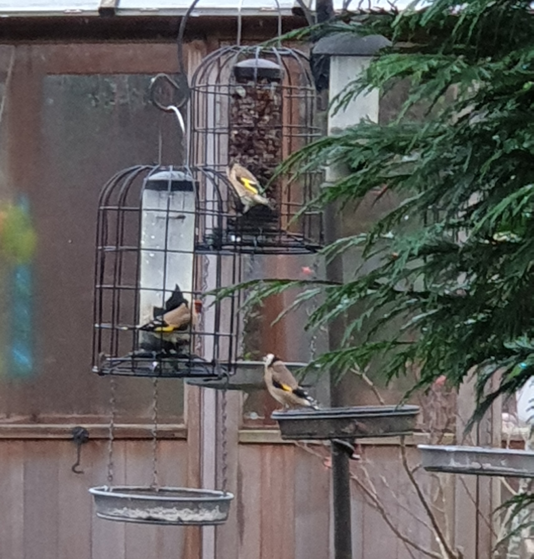 20191112_144522.jpg