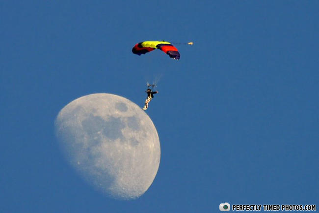 perfectly-timed-photos-taken-at-the-right-moment-4.jpg