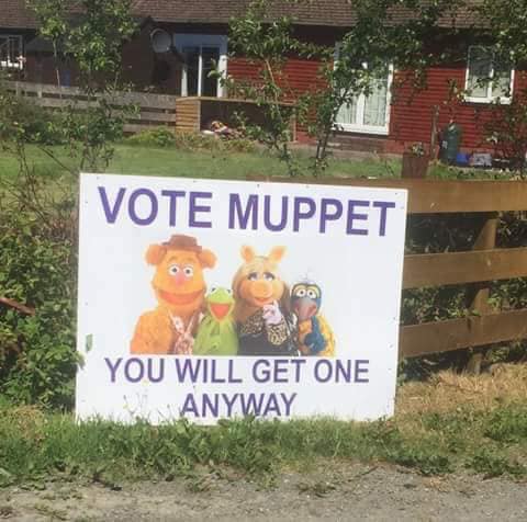 muppet.jpg