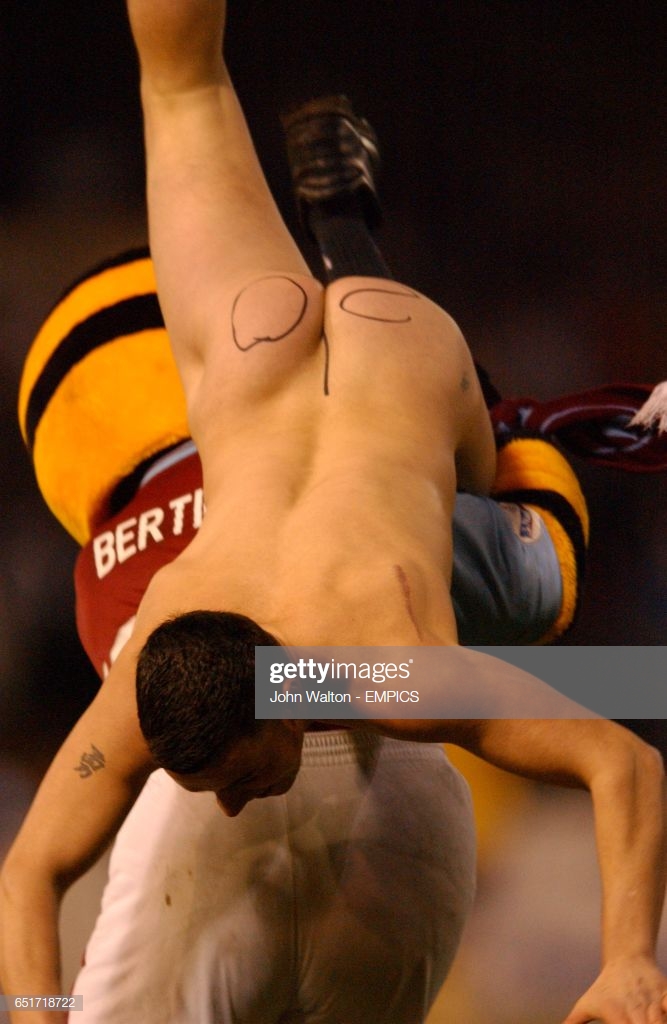 bee.jpg