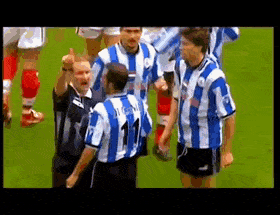 AdventurousShabbyDarklingbeetle-max-1mb.gif