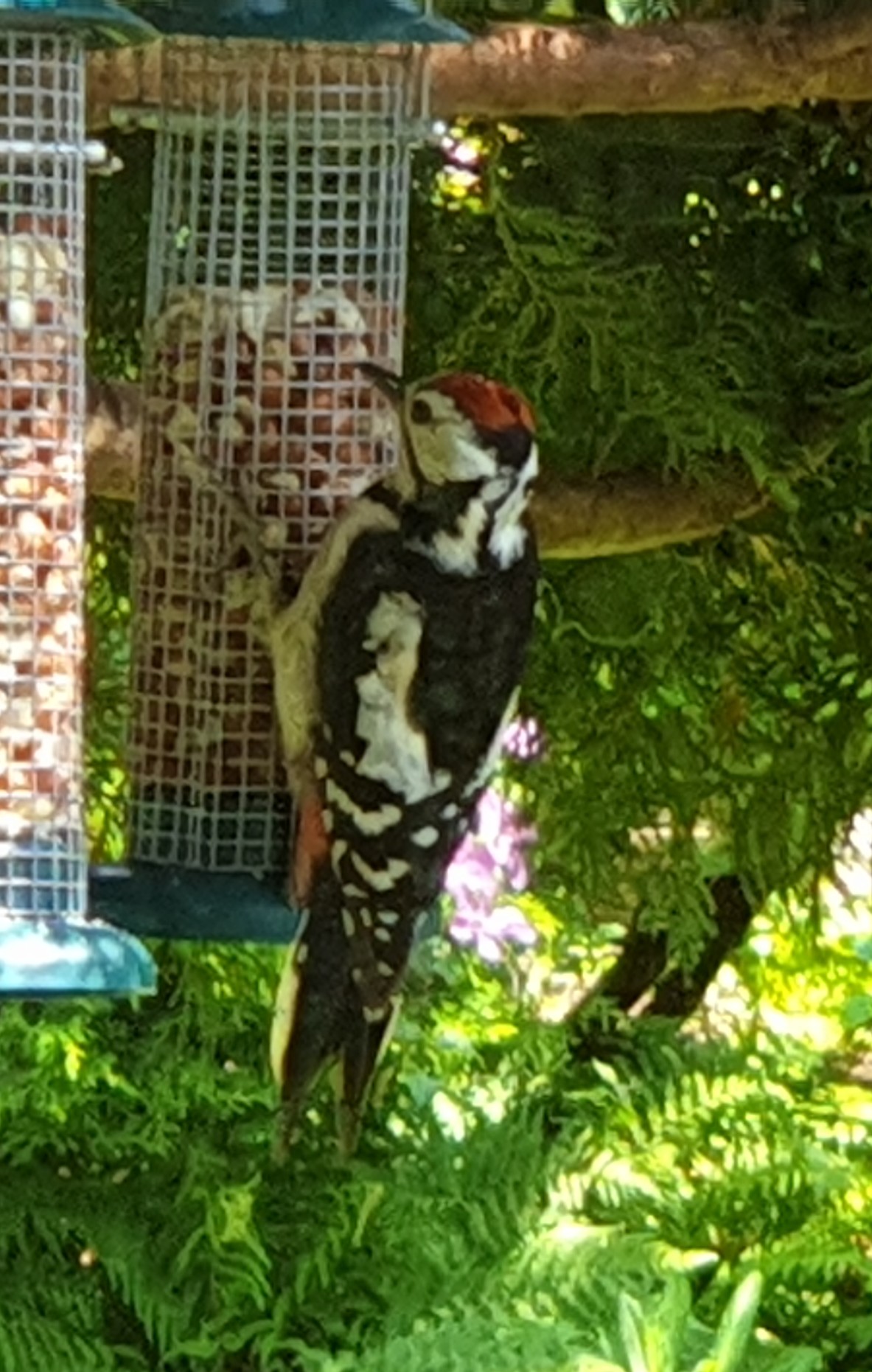 20190813_125054~2.jpg