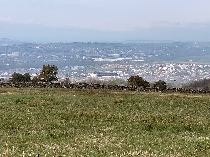 Walk 3.jpg