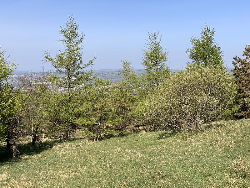 Walk 10.jpg