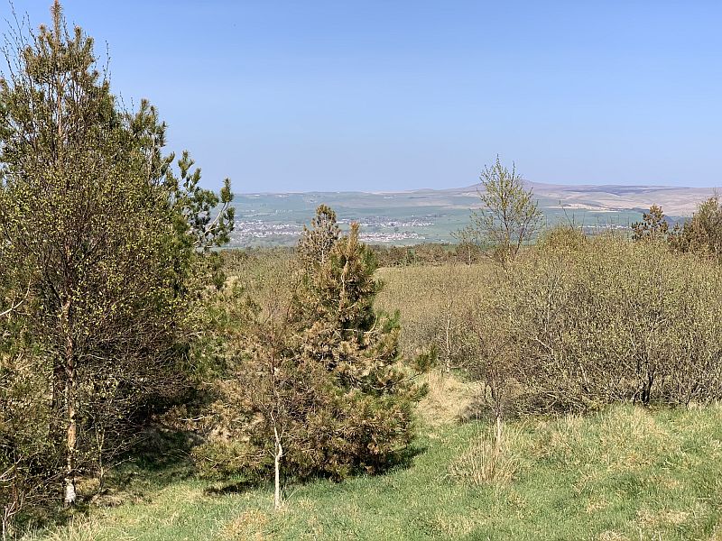 Walk 12.jpg