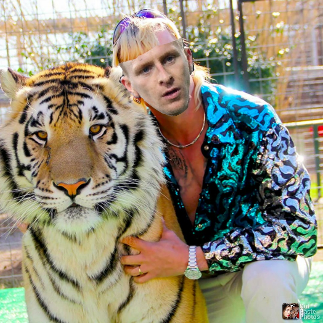 Tiger king