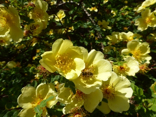 1B240350-9BD8-484A-B825-F7E0751D216C.jpeg