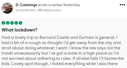 review.jpg