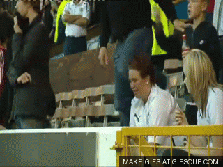 Preston rip program.gif