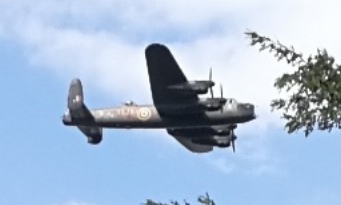 IMG_20200815_1343391.jpg