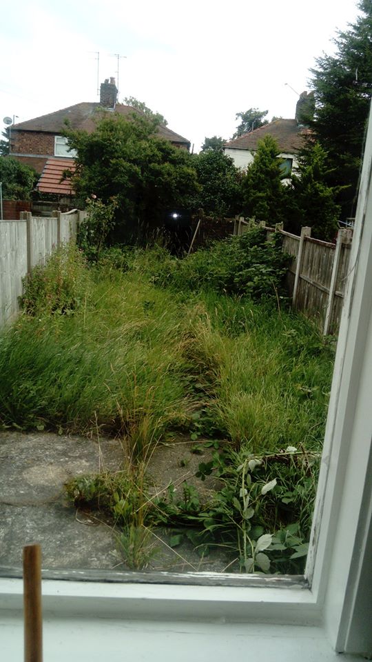 old garden.jpg