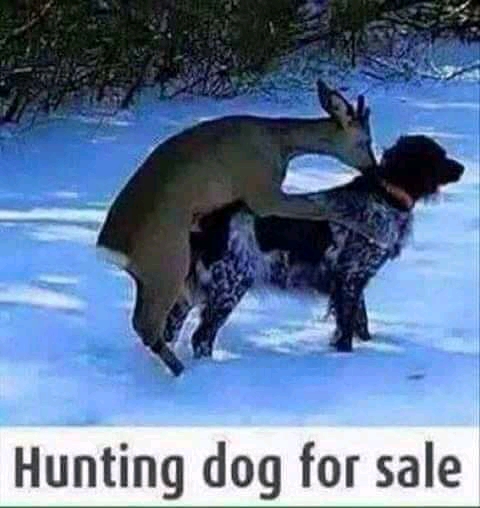 FB_IMG_15979964660669357.jpg