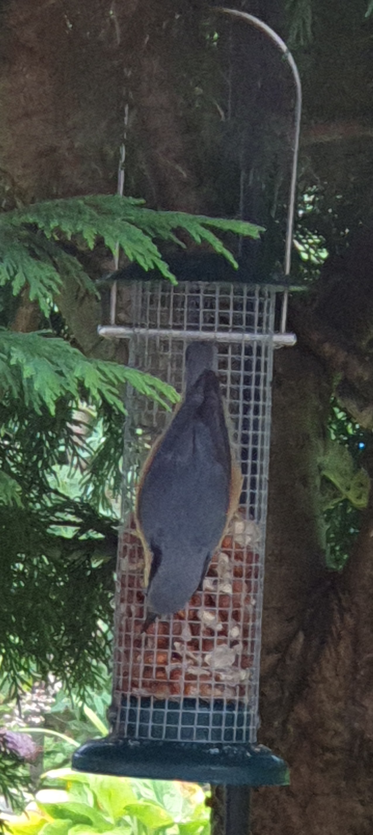 20200902_120112.jpg
