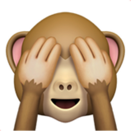 see-no-evil-monkey.png