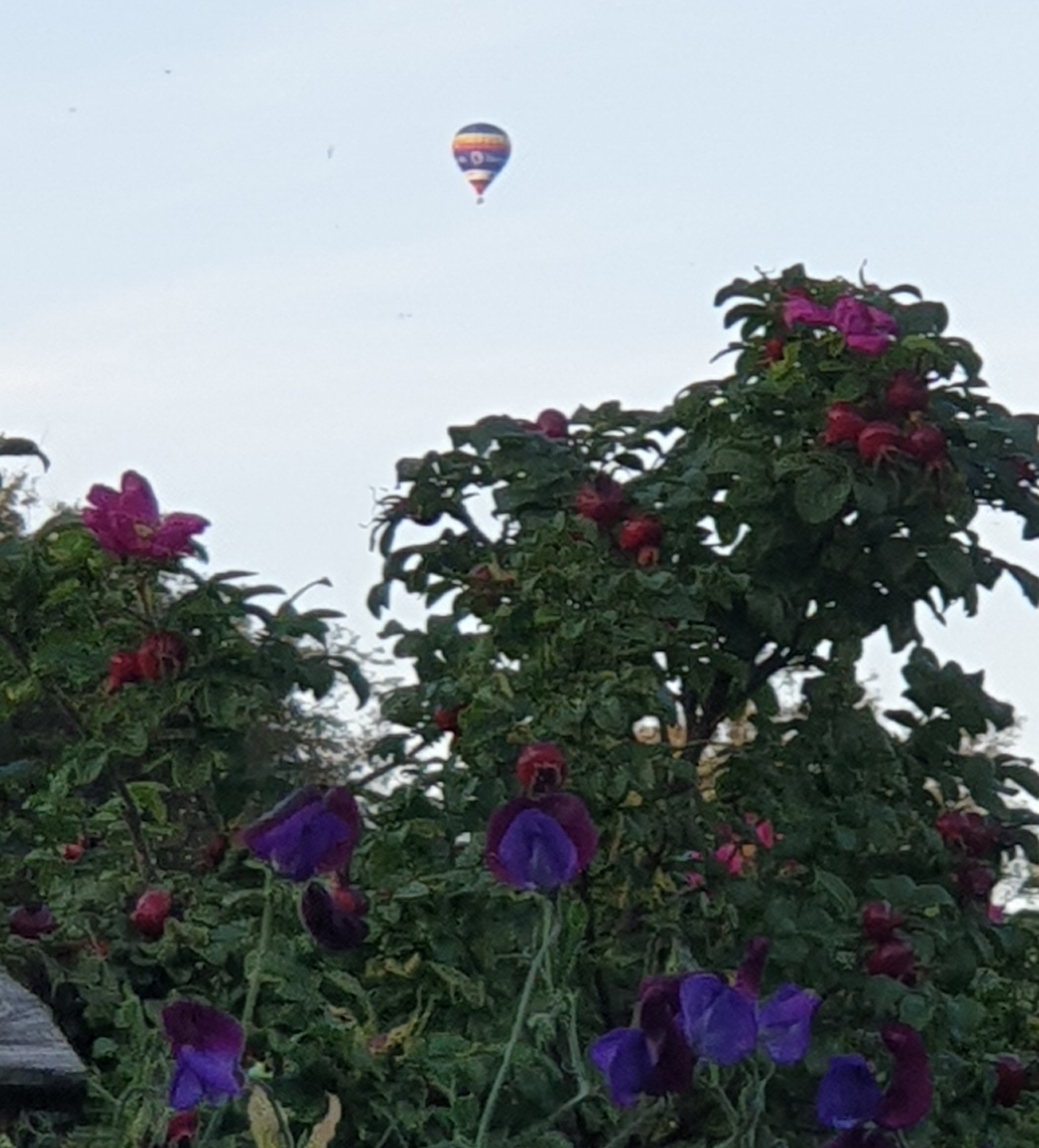 20200929_174518.jpg