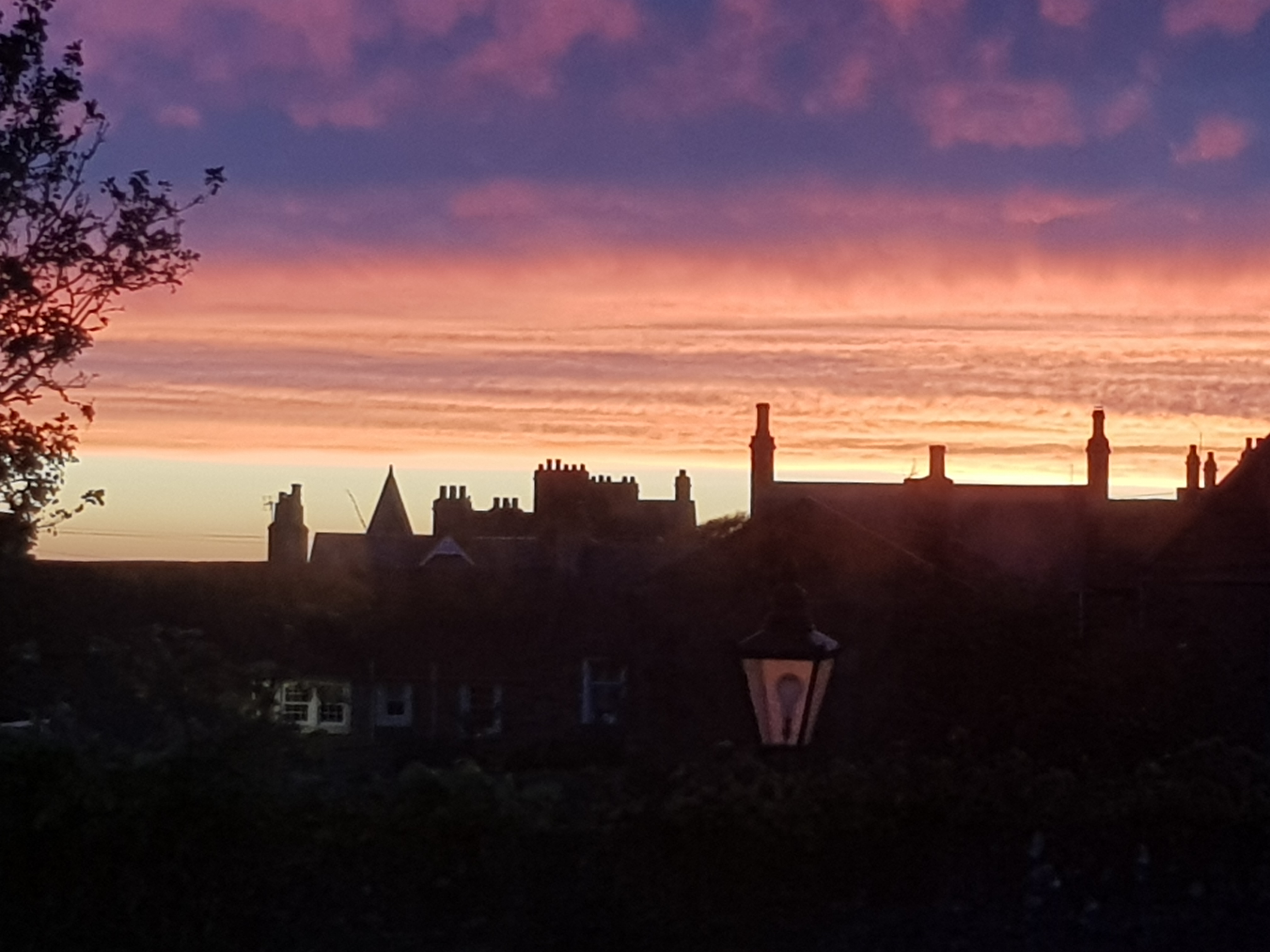 20201002_185719.jpg