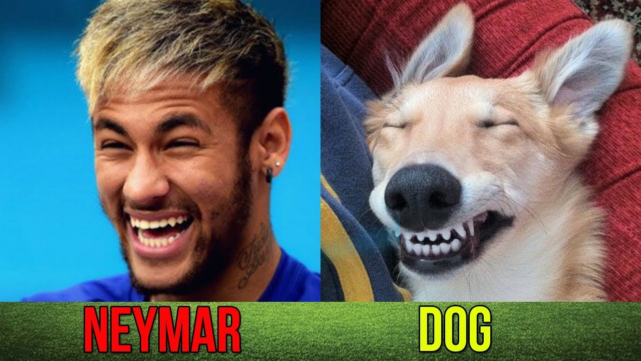 maxresdefault.jpg