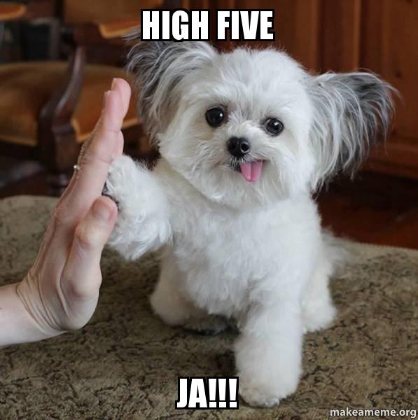 high-five-ja.jpg