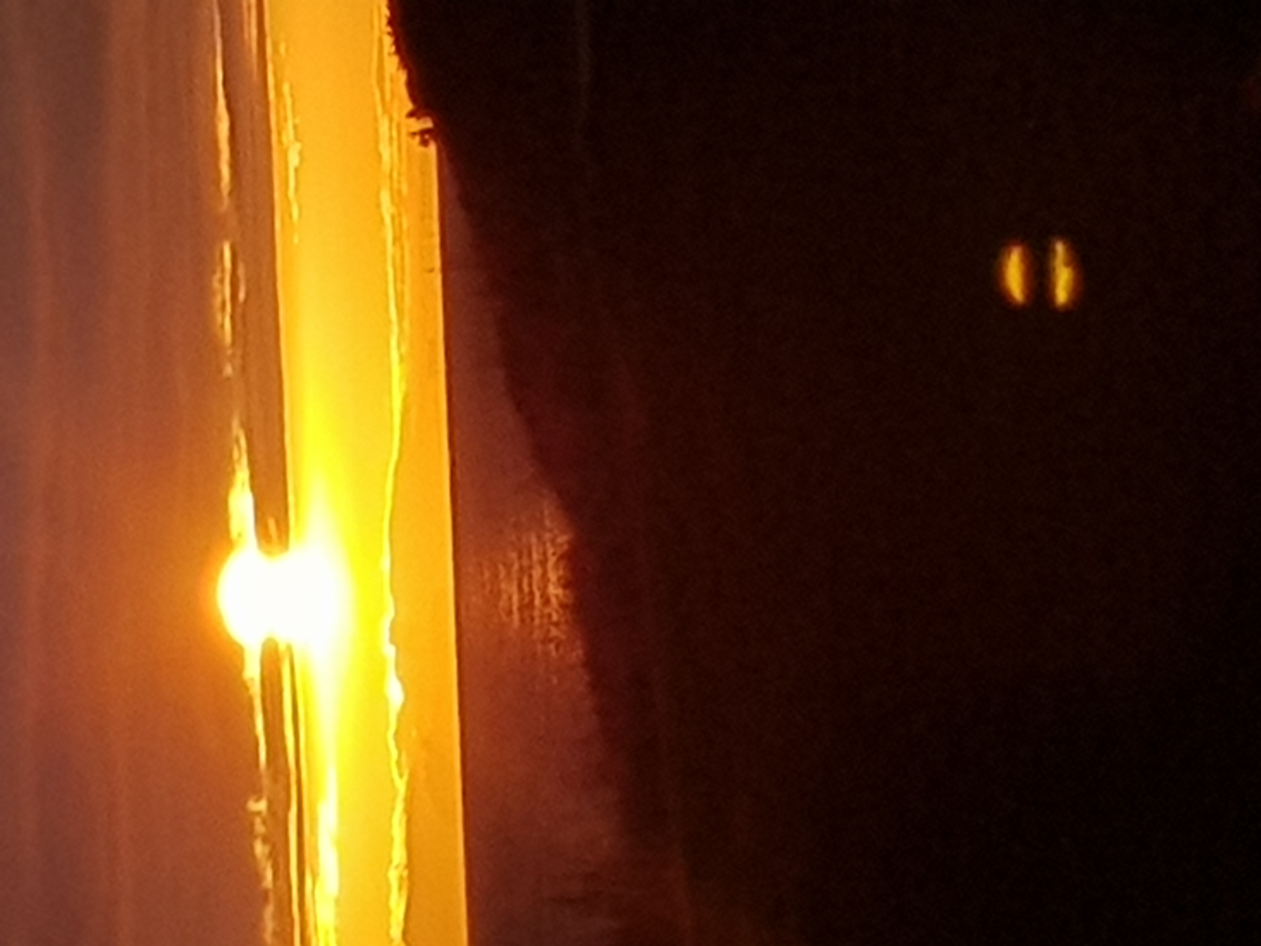 20201207_152112.jpg