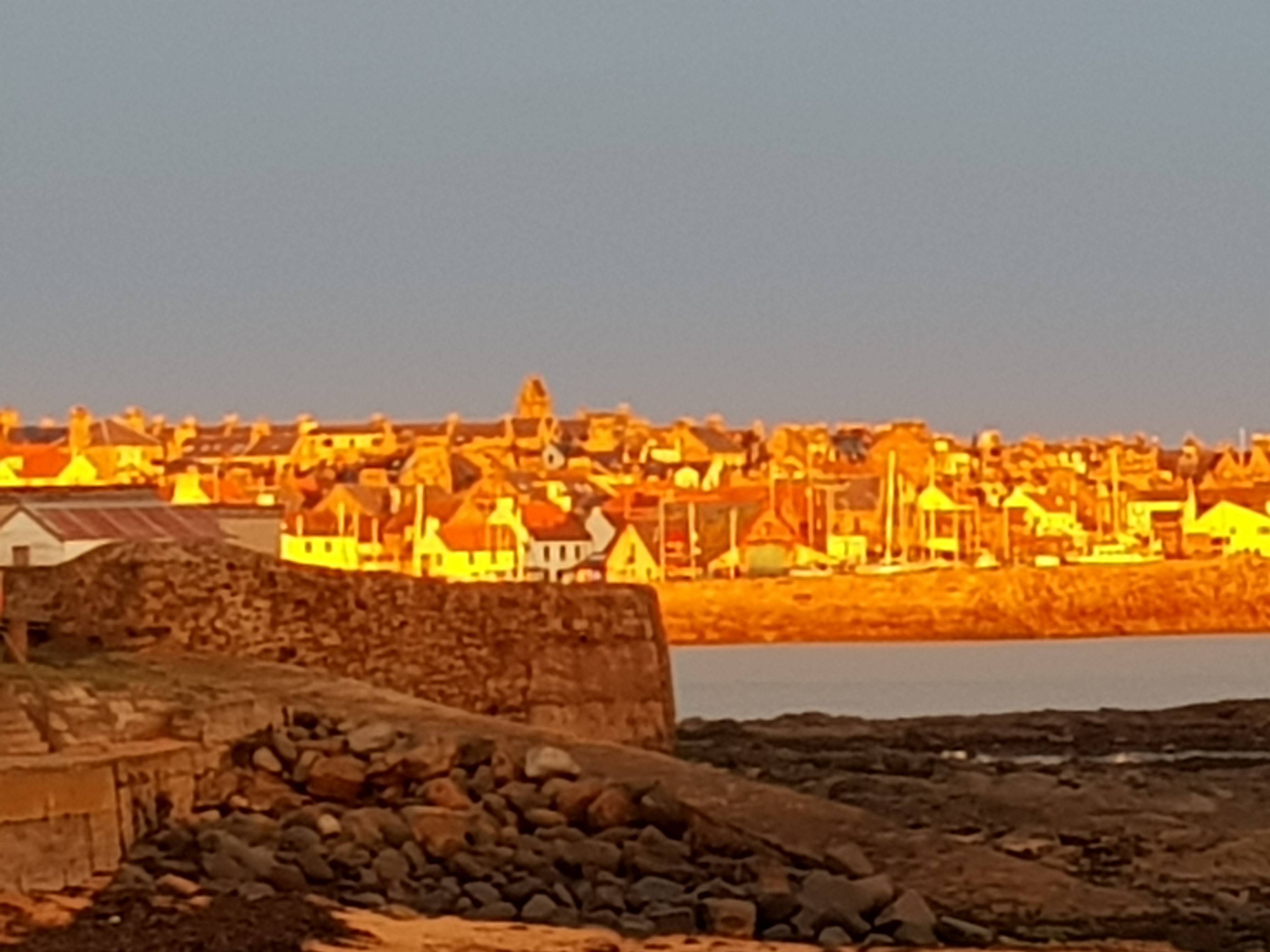 20201207_152808.jpg