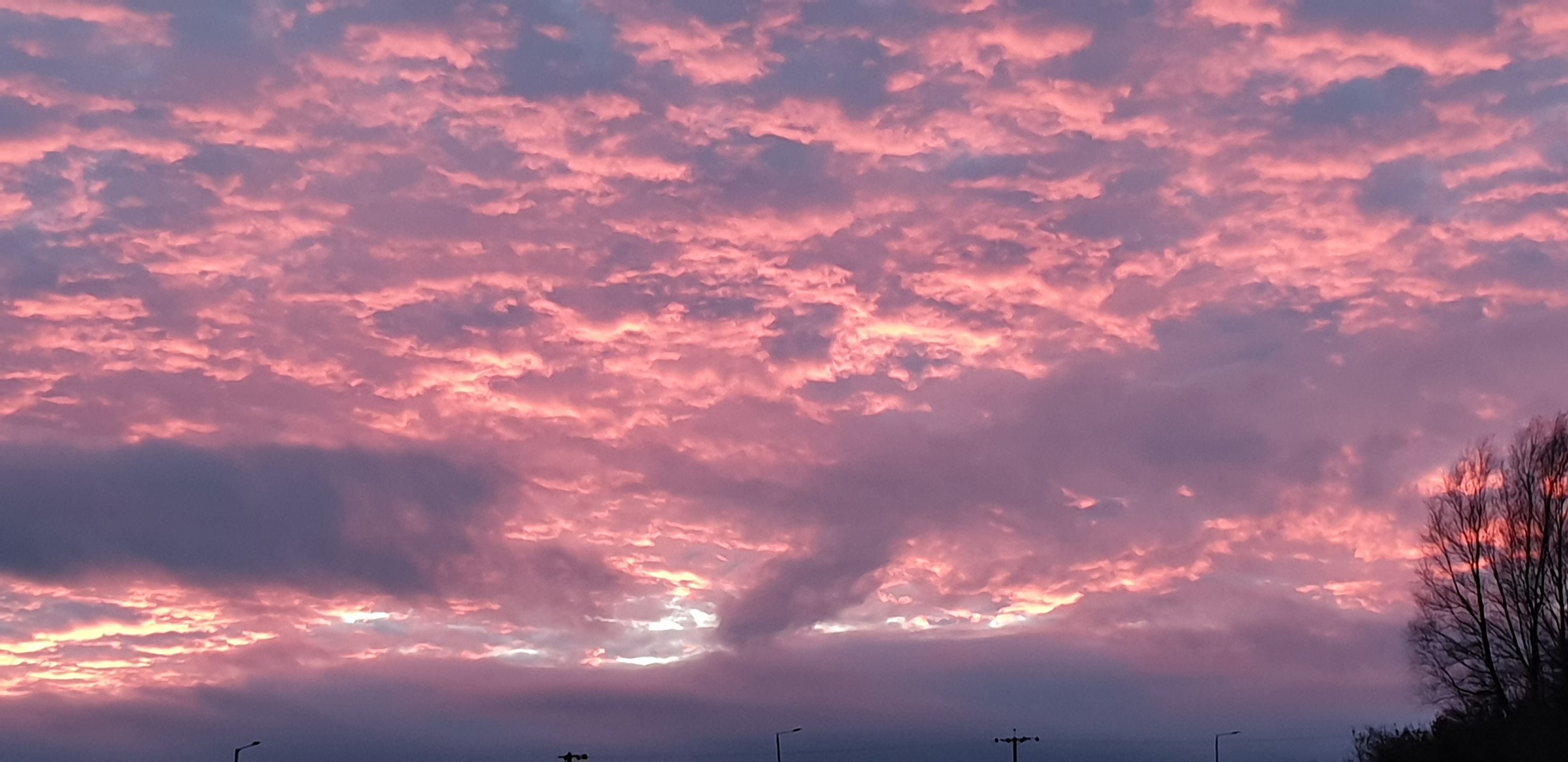 20201117_162325.jpg