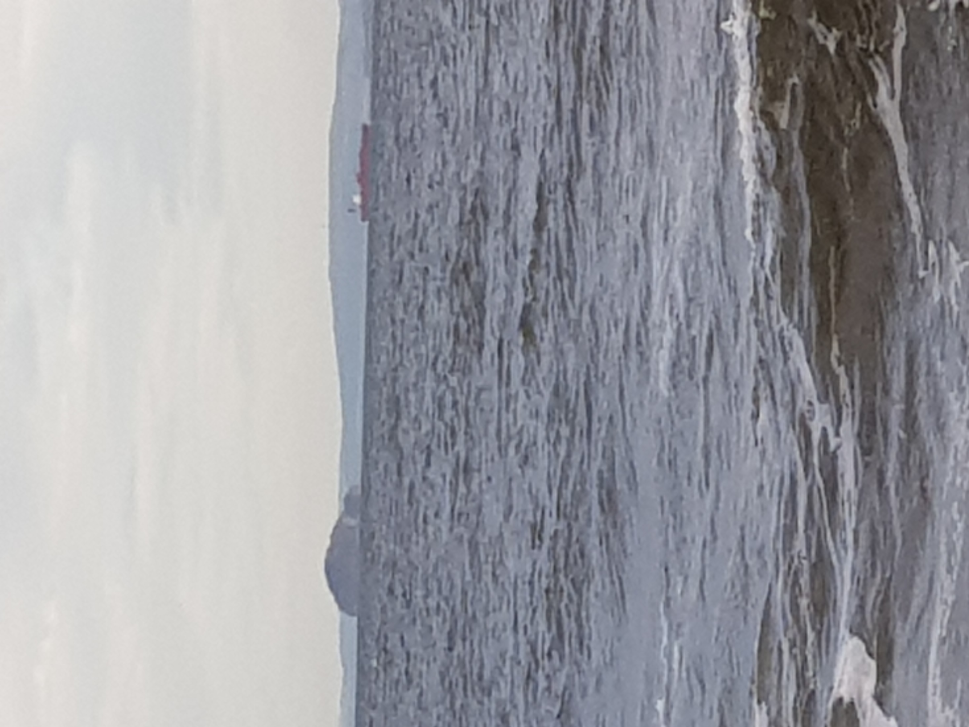 20201214_141359.jpg