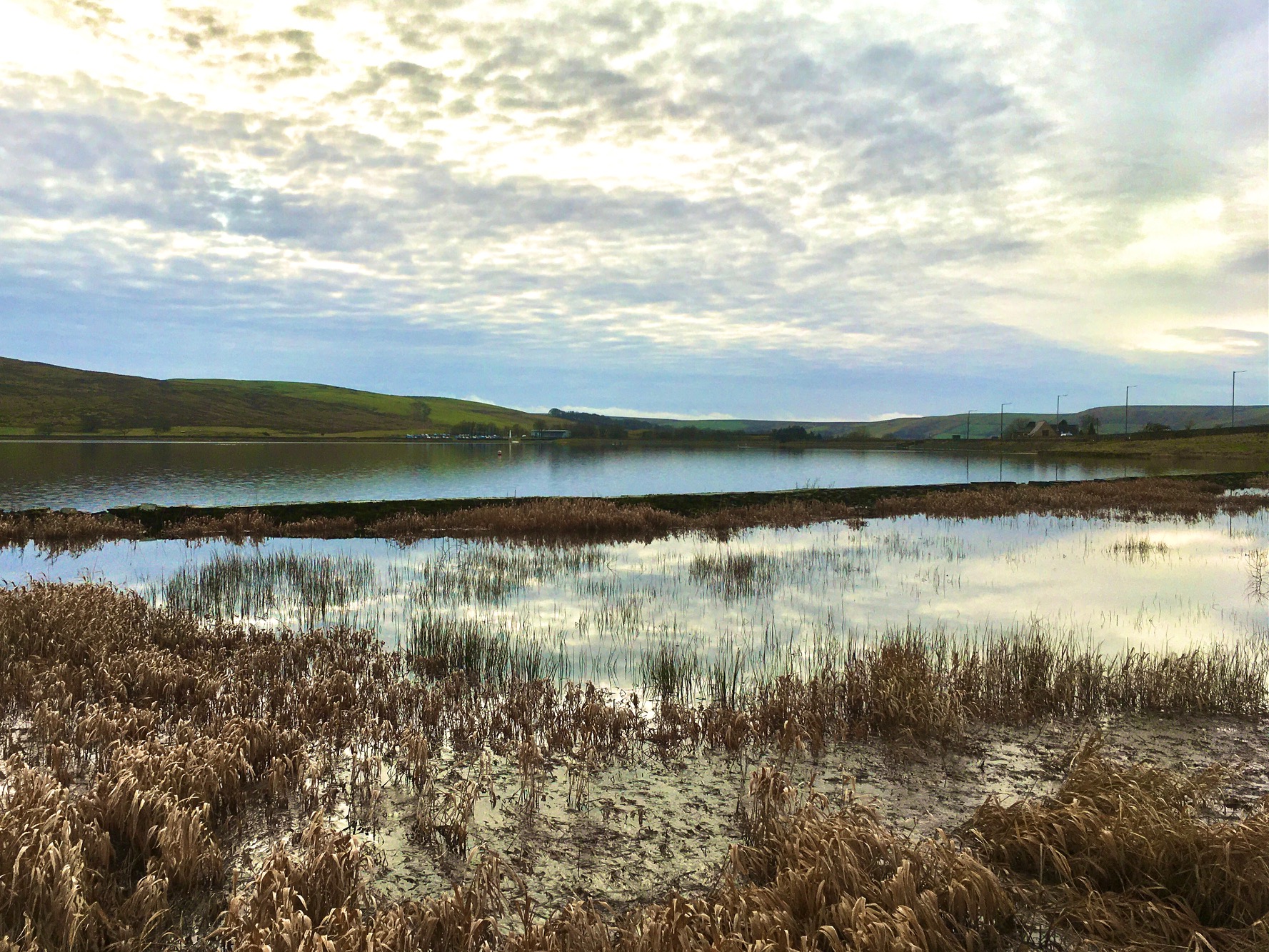 Reeds and reflections on Clowbridge reservoir