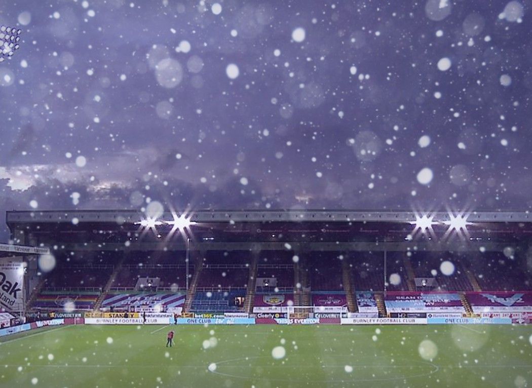 Turf Christmas.jpg