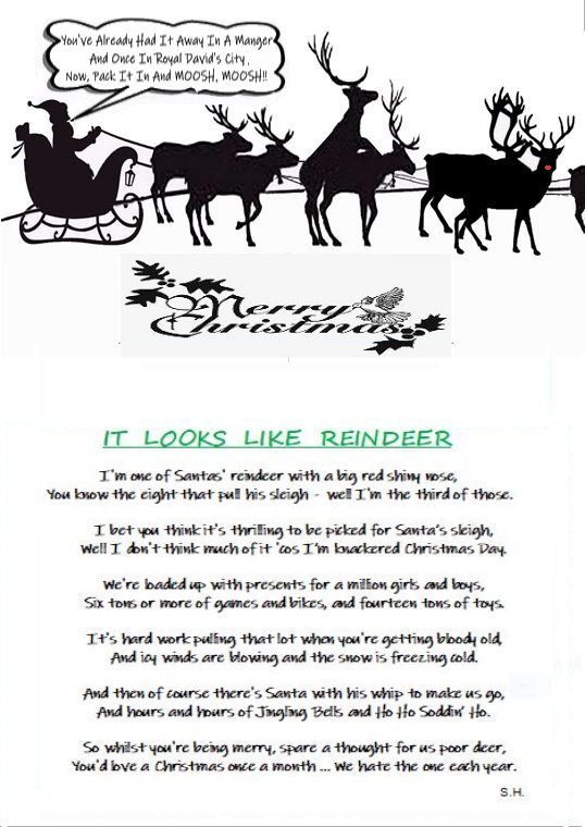Oh Deer!.JPG