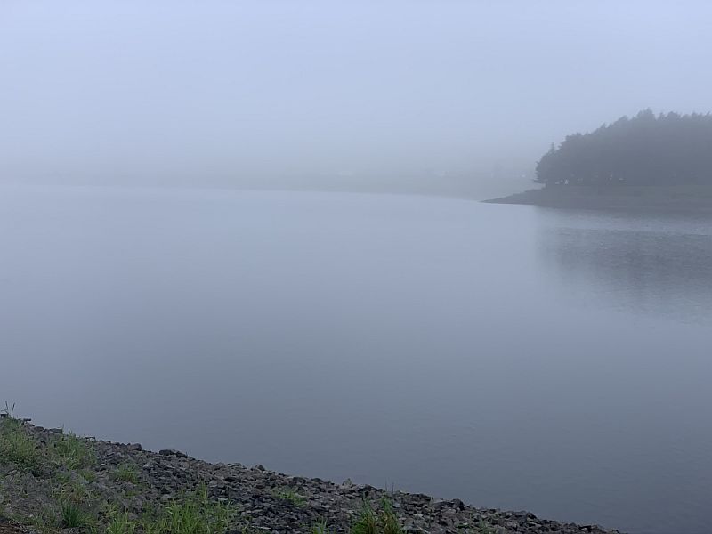 Walk 29.jpg