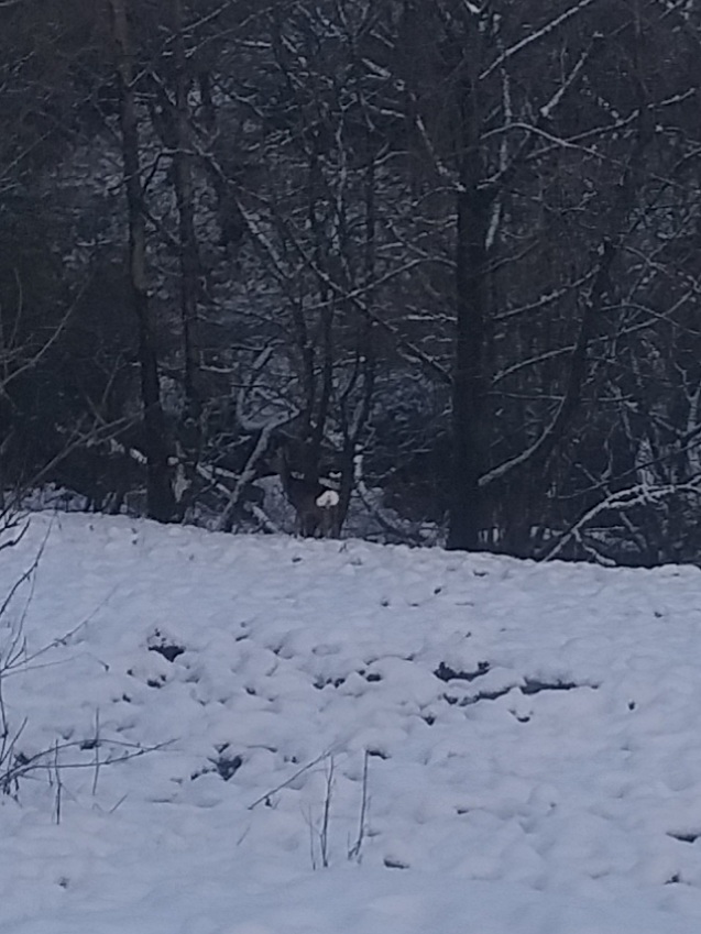 20201230_143601.jpg