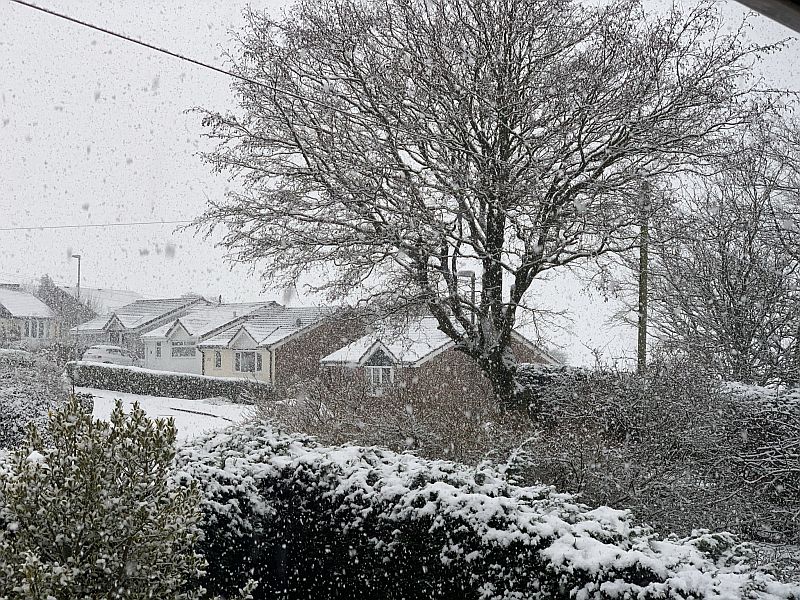 Snow Jan 2021.jpg