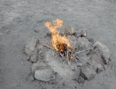 GrimScentedAffenpinscher-max-1mb.gif