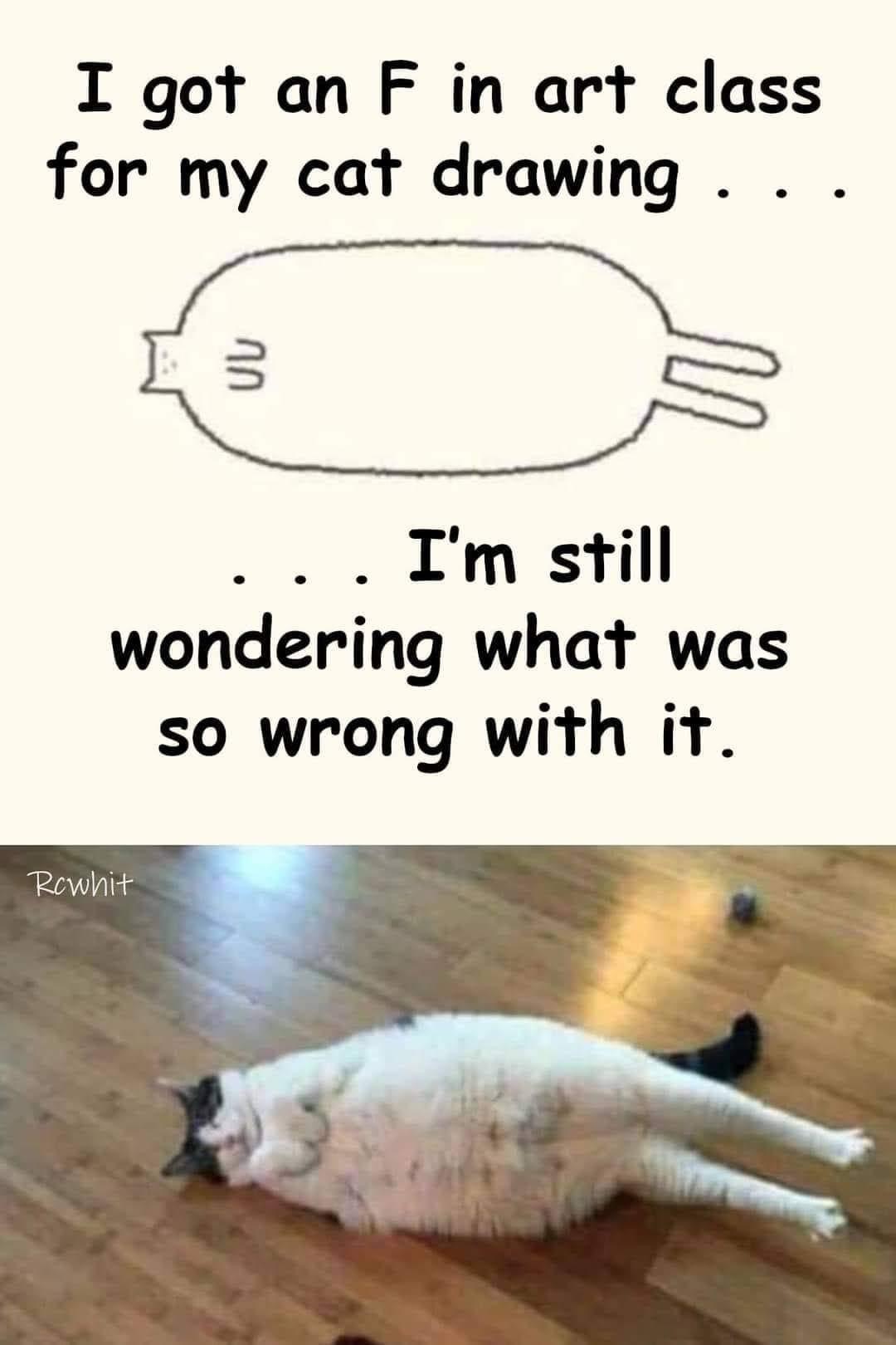 Cat.JPG
