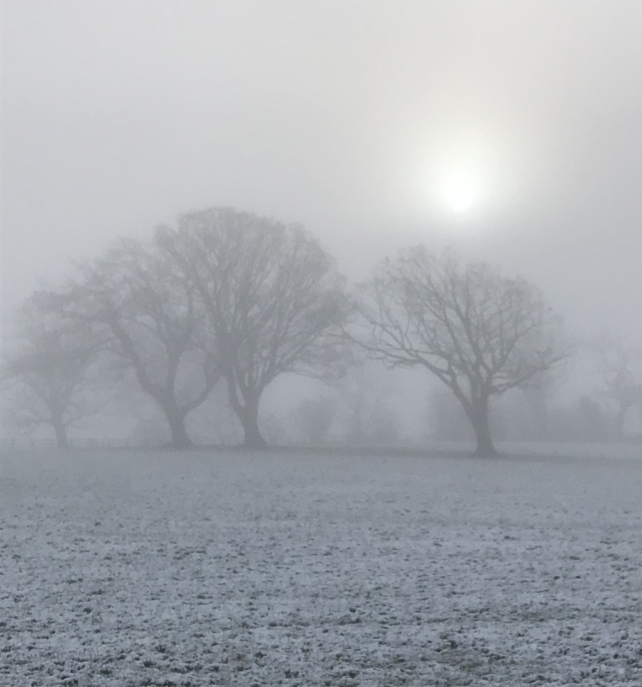 2382EB03-C117-4C91-85E9-AAF20B937440.jpeg