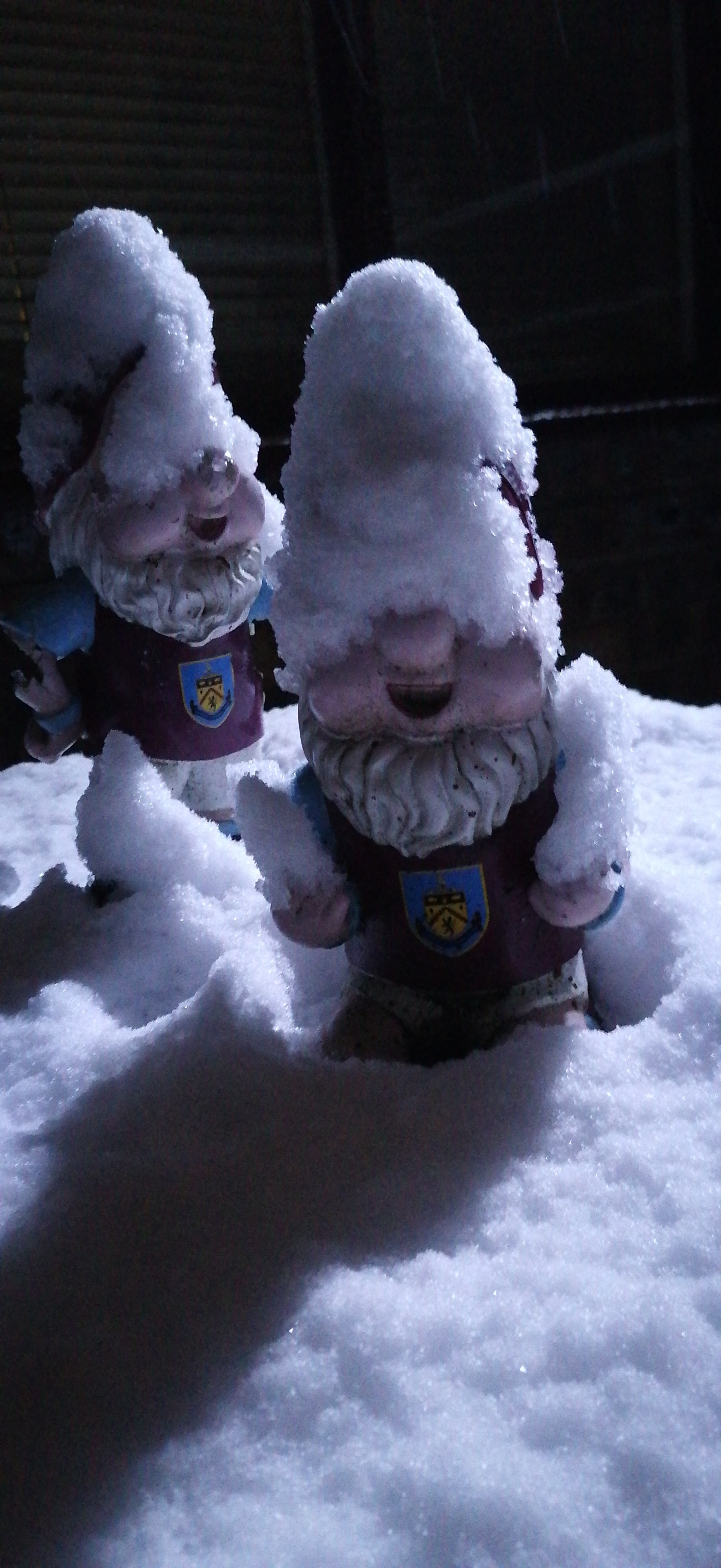 IMG-20210120-WA0021.jpeg