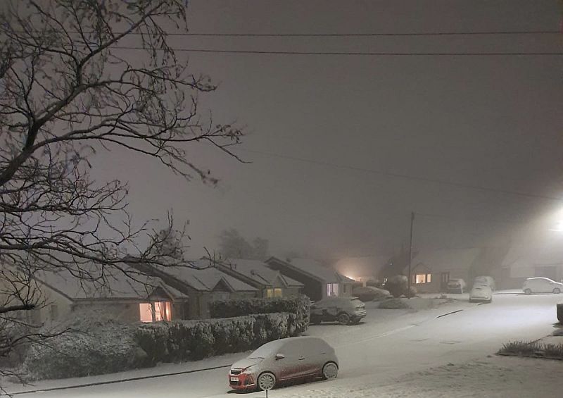 snow 200121.jpg