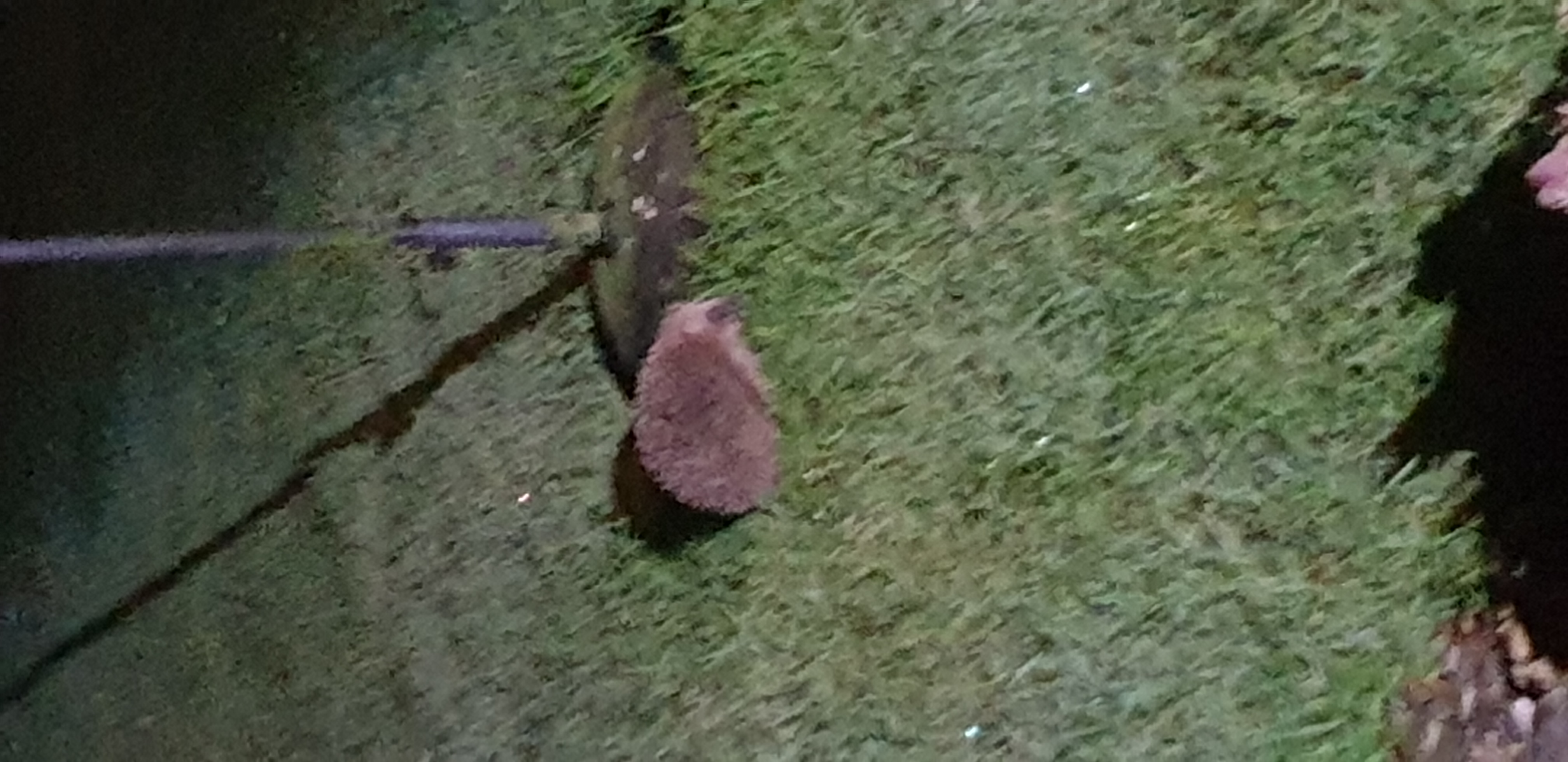 20210225_215336.jpg