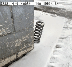 thumb_spring-is-just-around-the-corner-for-redditors-who-like-64688834.png