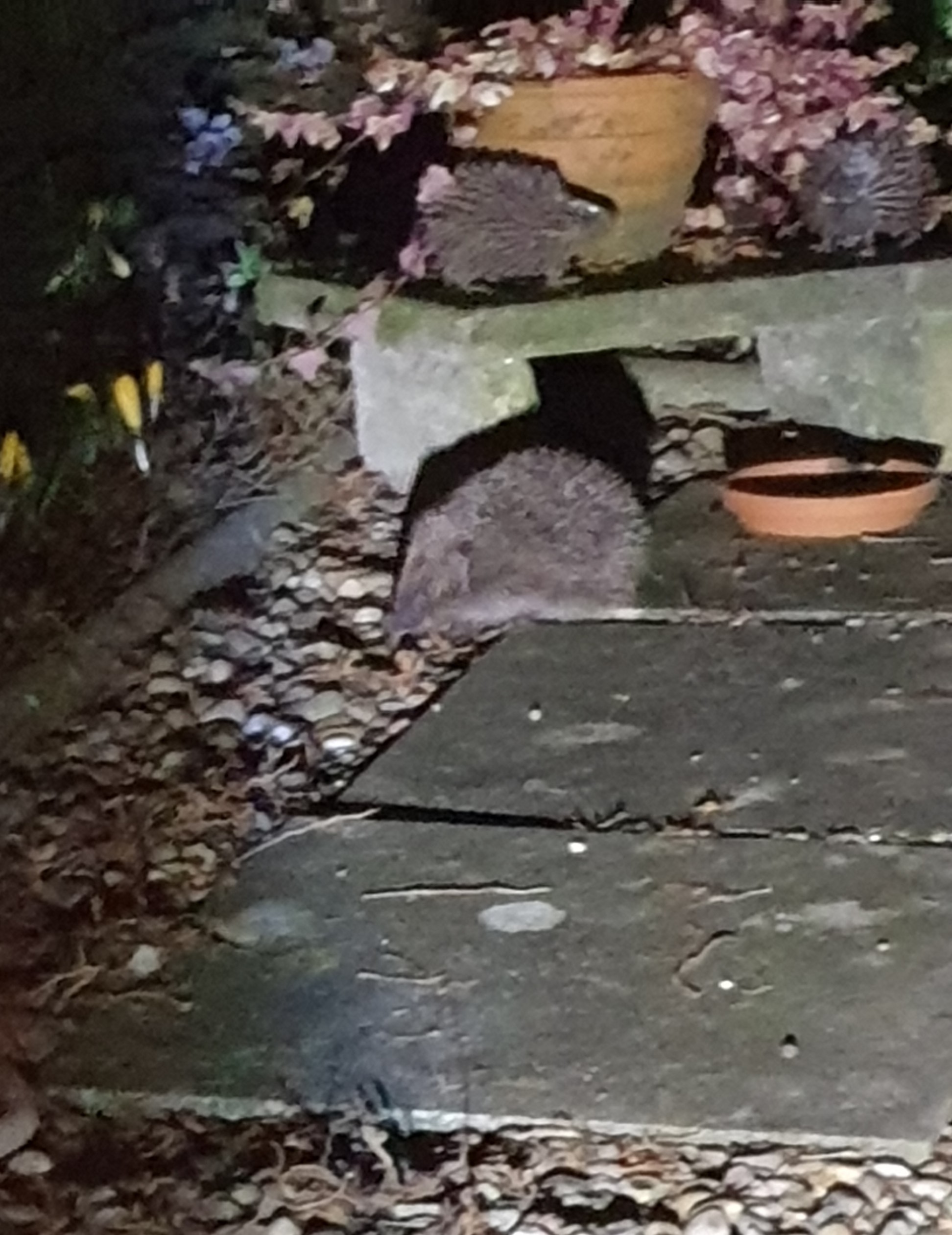 20210227_202922.jpg