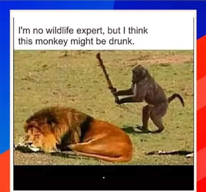 FB_IMG_1616698086245.jpg