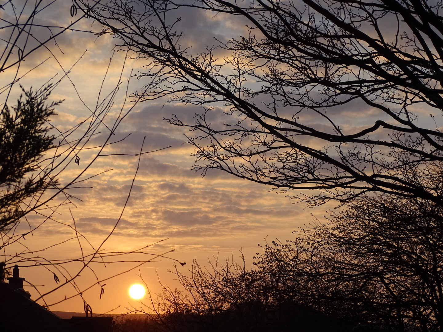 DSC00424.JPG