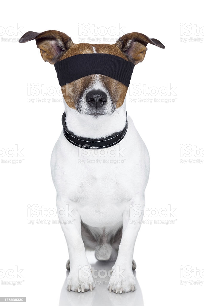 spot blind.jpg