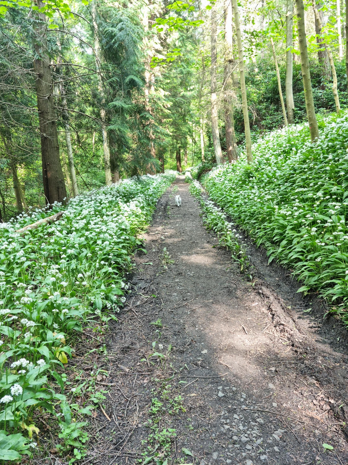 20210603_161232.jpg