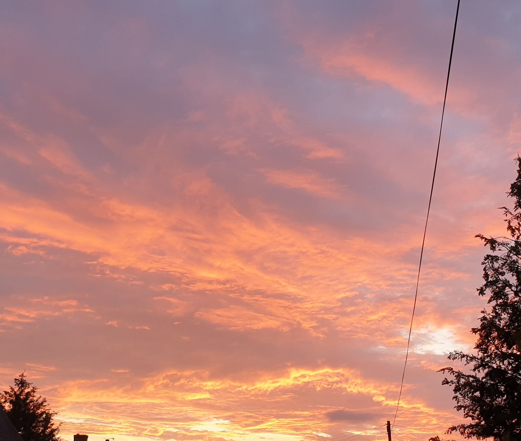 20210603_213903.jpg